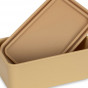 Lunch box - SKATEOSAURUS