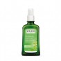 Huile anticellulite au bouleau - 100 ml