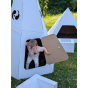 Tipi en carton Blanc - Paperpod
