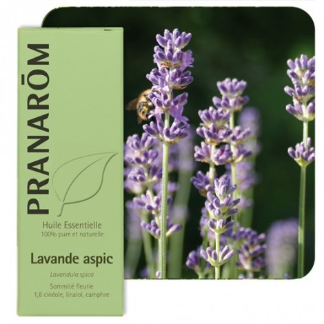 Huile essentielle de Lavande aspic - 10 ml Huile essentielle de Lavande aspic - 10 ml