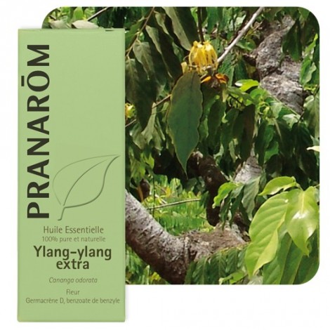 Huile essentielle d'Ylang-ylang - 5 ml