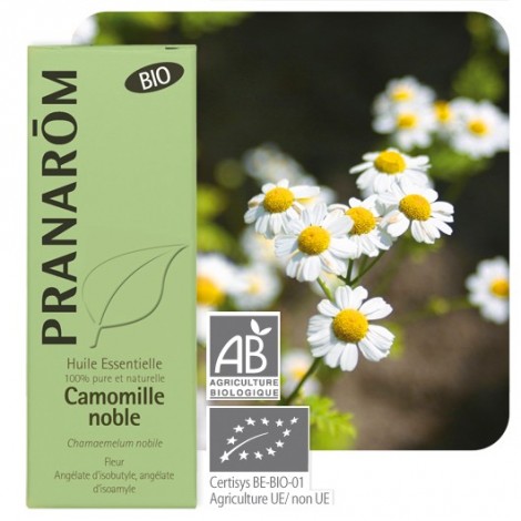 Huile essentielle de Camomille romaine BIO - 5 ml Huile essentielle de Camomille romaine BIO - 5 ml