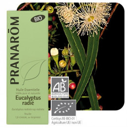 Huile essentielle d'Eucalyptus radiata BIO - 10 ml