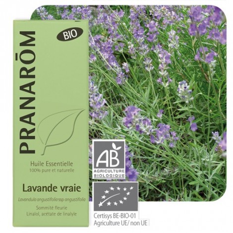 Huile essentielle de Lavande vraie - BIO ! Huile essentielle de Lavande vraie - BIO !