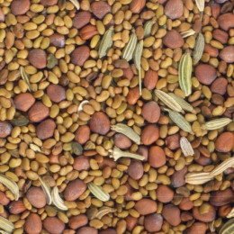 Graines à germer - Alfalfa Radis Fenouil BIO 