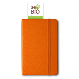 Chèque cadeau de 25 € - version papier