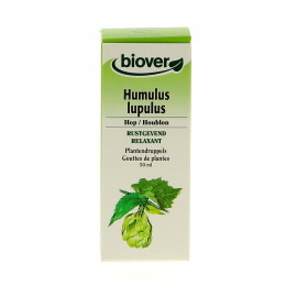 Humulus lupulus - Houblon - Teinture Mère