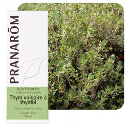 Huile essentielle de Thym à thymol 10 ml - Pranarôm