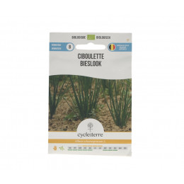 Ciboulette - 1,00 g