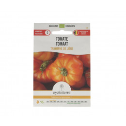 Tomate Triomphe de Liège - 0,20 g