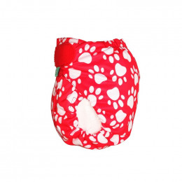Culotte de protection PeeNut - Taille 2 - Pawfect