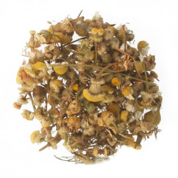 Camomille matricaire BIO