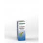 Huile essentielle Eucalyptus globulus - feuille Bio 10 ml