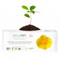 Serviette périodique 100 % Eco Nuit - 10 pièces