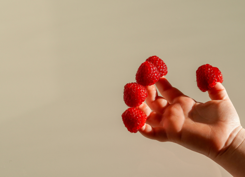 diversification alimentaire