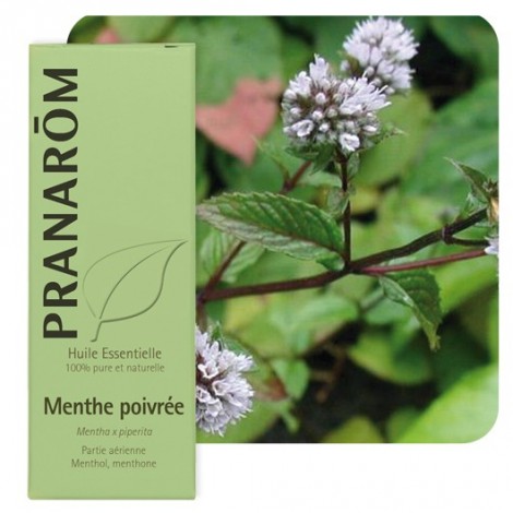 HE menthe poivrée
