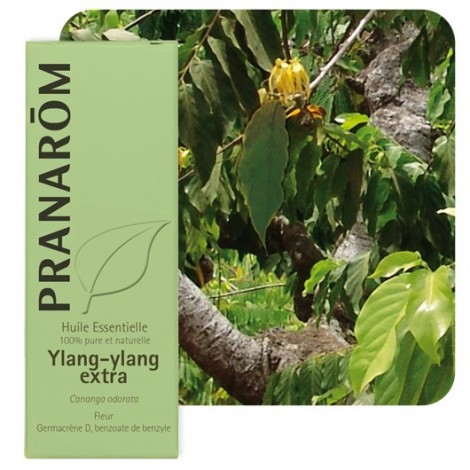 HE ylang-ylang