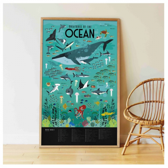 Poster éducatif Poppik -Oceans