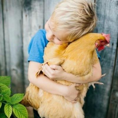 Complicité animaux compagnie