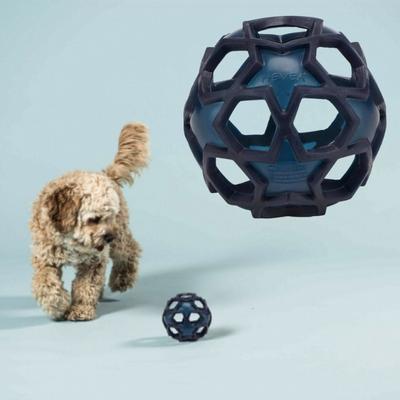 Jouet pour chien en caoutchouc