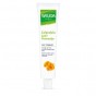 Calendula Zalf