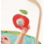 Hape - Draagbare Baby Gym met Speeltjes