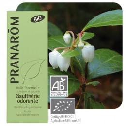 Bergthee essentiële olië BIO