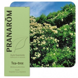 2 x Etherische olie Tea Tree 10 ml