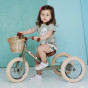 Trybike steel loopfiets 2in1 vintage green - driewieler