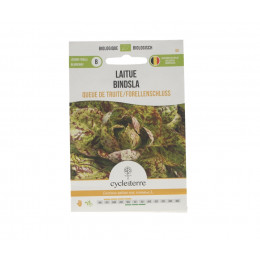 Bindsla Queue de truite/Forellenschluß 0,50 g