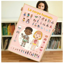 Educatieve poster met herpositioneerbare stickers - Human Body