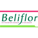 Beliflor