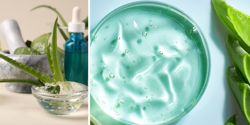 diy aloé vera gel 